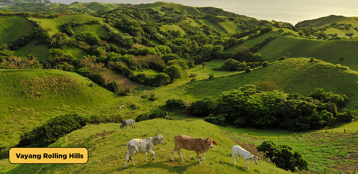 Vayang Rolling Hills