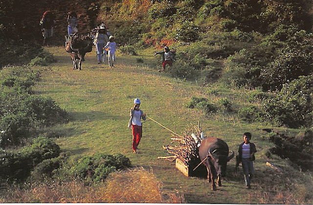 Ivatan farmers, 2000